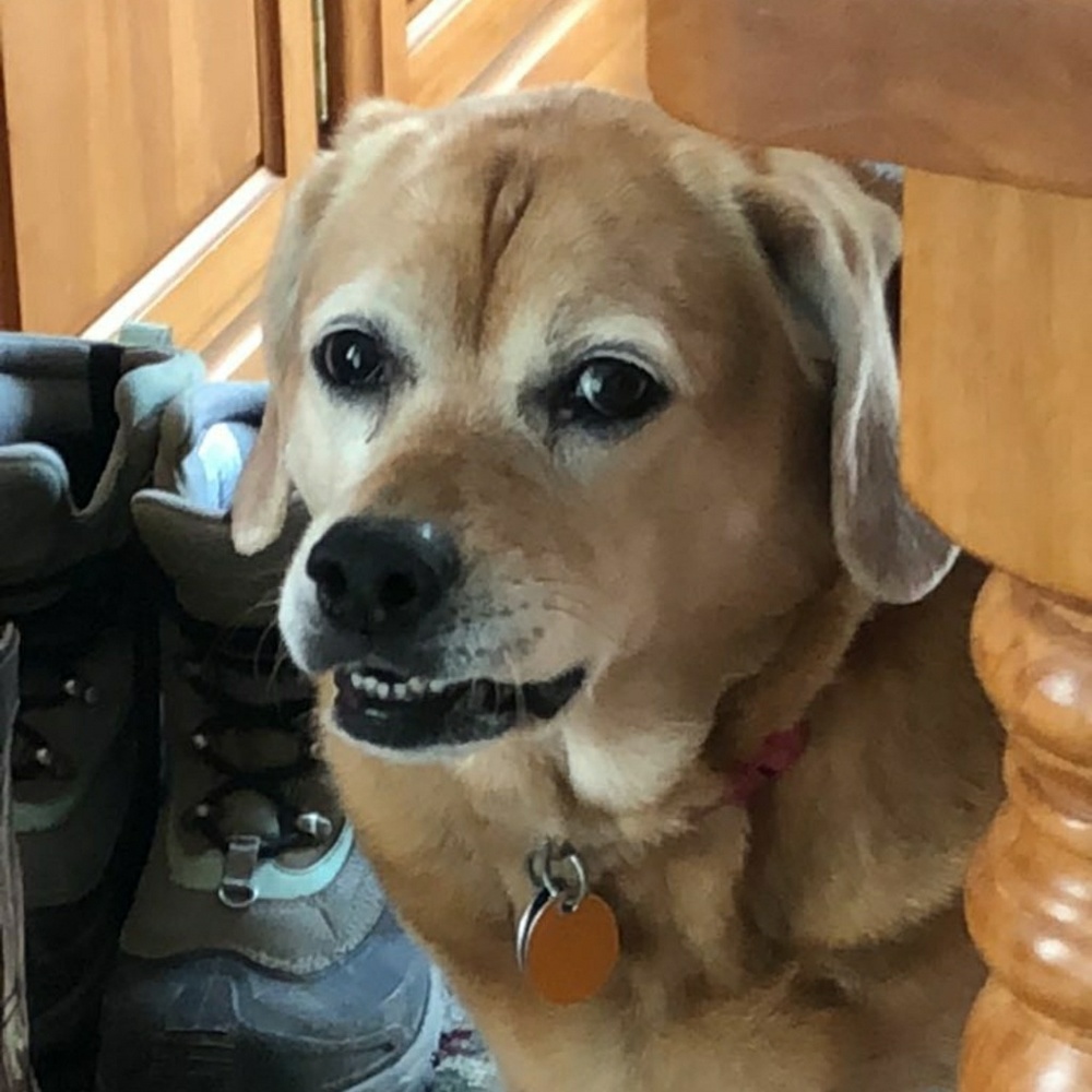 Meet your Posher, Andrew